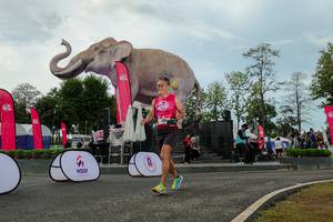 BIB: 
                            <button type="button" onclick="openModal(26528951)" class="btn btn-primary btn-sm float-right btn-popup" data-toggle="modal" data-target=".modal-high-quality">
                        <i class="fas fa-shopping-cart"></i> Add to Cart
                    </button>
                                            <button type="button" onclick="isThisMe(26528951, true)" class="btn btn-success btn-sm float-right btn-popup btn-isme hidden" data-toggle="tooltip" data-placement="bottom" title="นี่คือรูปของคุณใช่ไหม คลิกที่นี่เพื่อเอาเข้าอัลบั้ม">
                        <i class="fas fa-plus"></i> Add to album
                    </button>
                    <button type="button" onclick="isThisMe(26528951, false)" class="btn btn-warning btn-sm float-right btn-popup btn-isnotme hidden">
                        <i class="fas fa-ban"></i> Remove from album
                    </button>